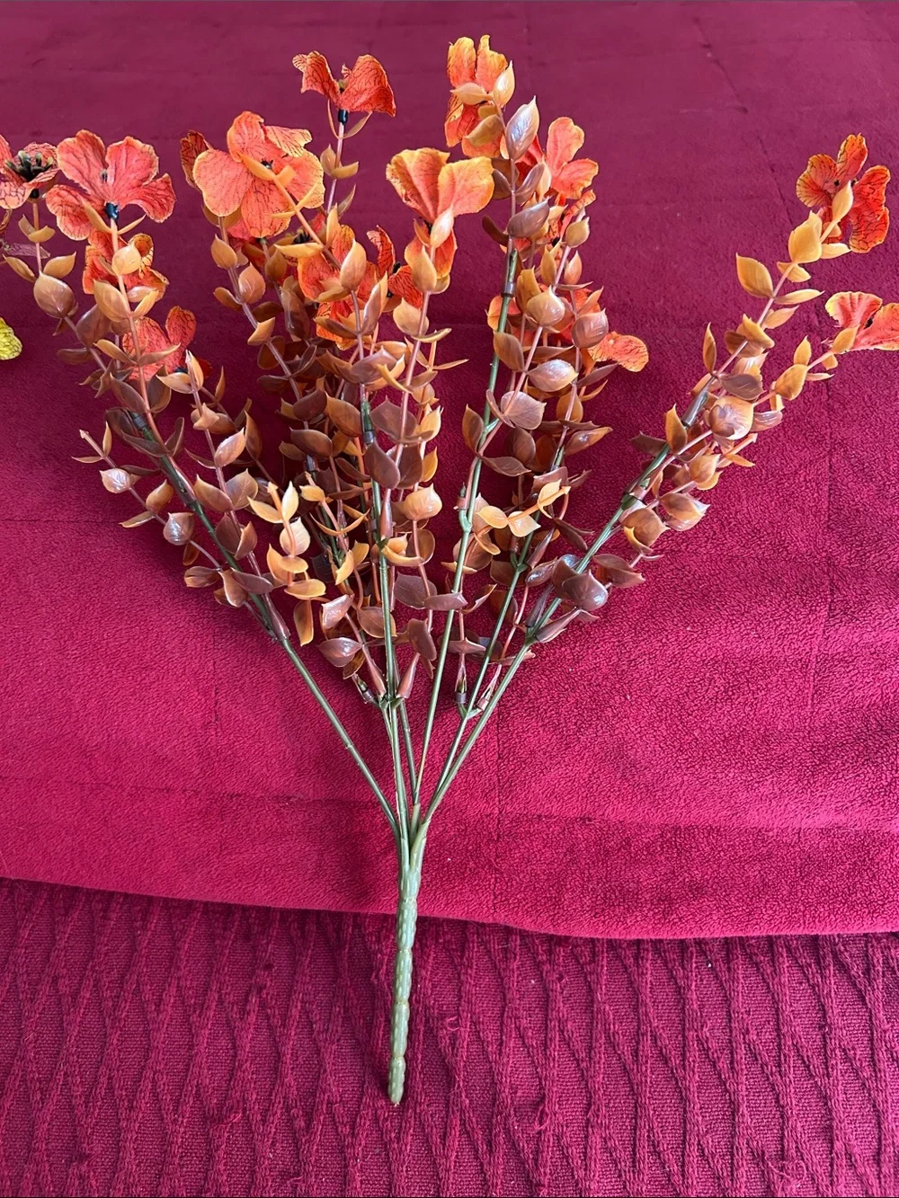 N/A bunches vibrant